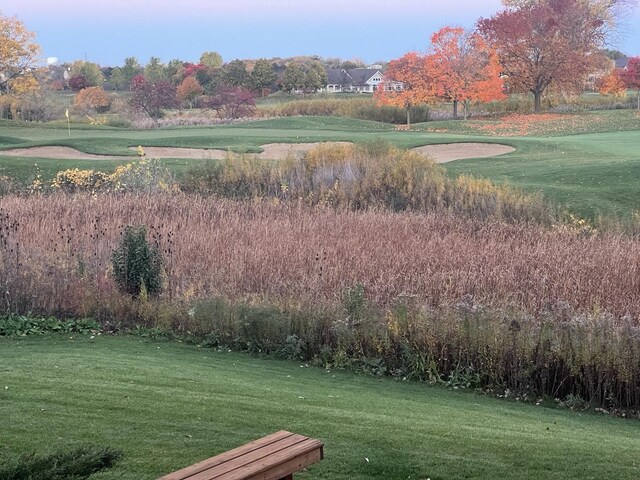 view of home's community with a lawn