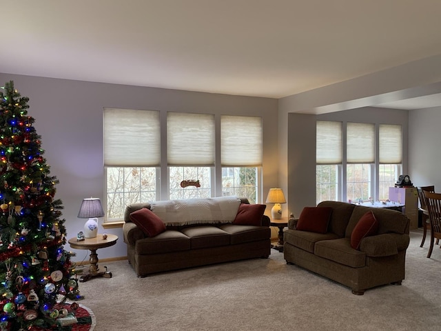 living room featuring light colored carpet