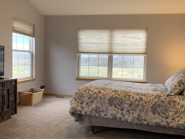 bedroom featuring multiple windows, carpet, and vaulted ceiling