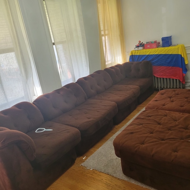 living room featuring hardwood / wood-style floors