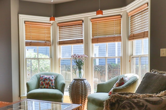 living area with a healthy amount of sunlight