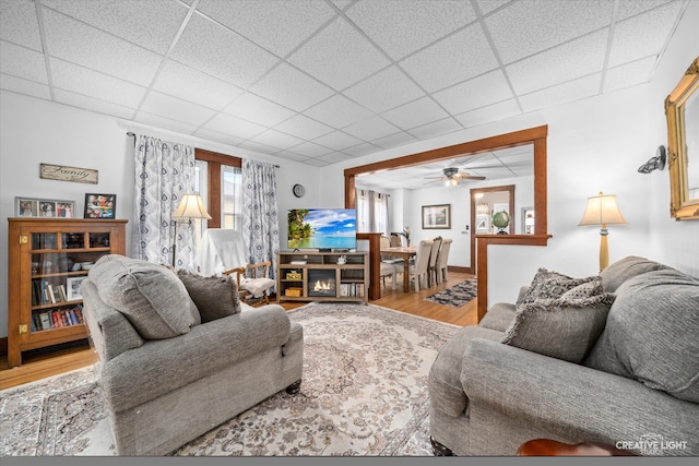 living room with a drop ceiling, hardwood / wood-style floors, and ceiling fan