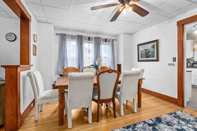 dining area featuring light hardwood / wood-style floors, ceiling fan, and a paneled ceiling