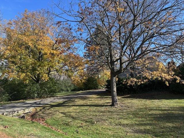 335 Countryside Ct, Burr Ridge, IL 60527