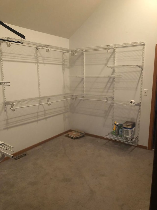 walk in closet featuring carpet floors