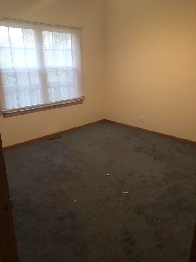 empty room featuring carpet floors