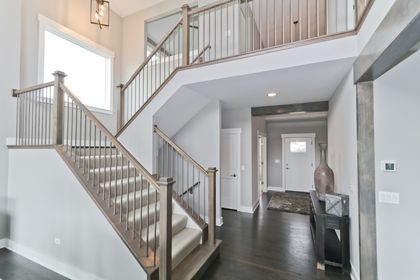 foyer featuring a towering ceiling and dark hardwood / wood-style floors