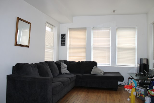 living room with wood-type flooring