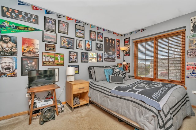 bedroom with carpet flooring