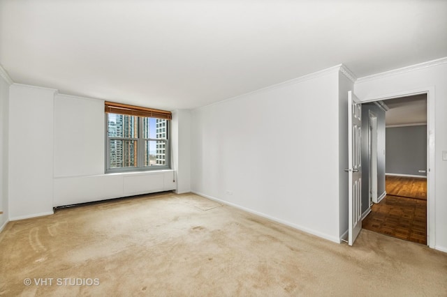 spare room featuring light colored carpet and ornamental molding