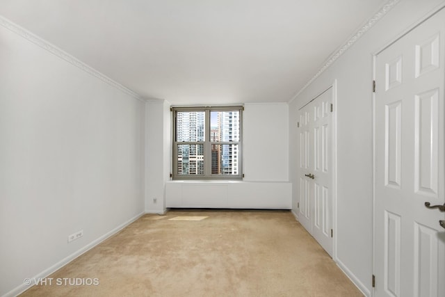 carpeted spare room featuring ornamental molding