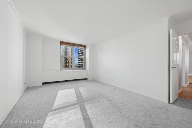 spare room featuring light colored carpet and crown molding