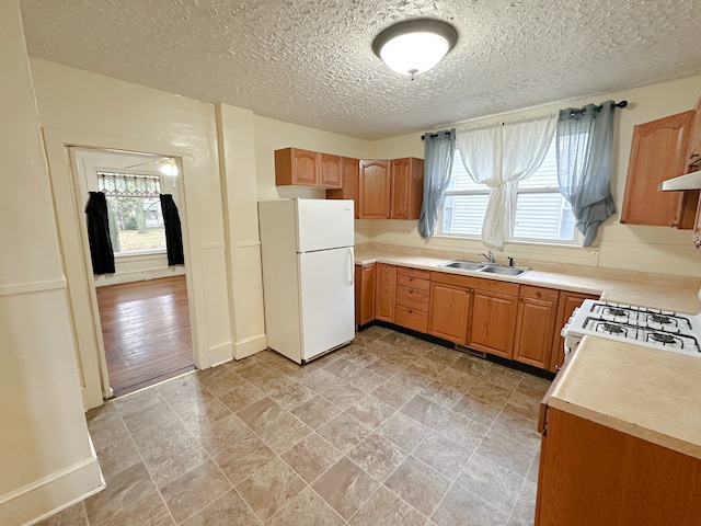 kitchen featuring plenty of natural light, light hardwood / wood-style floors, white appliances, and sink