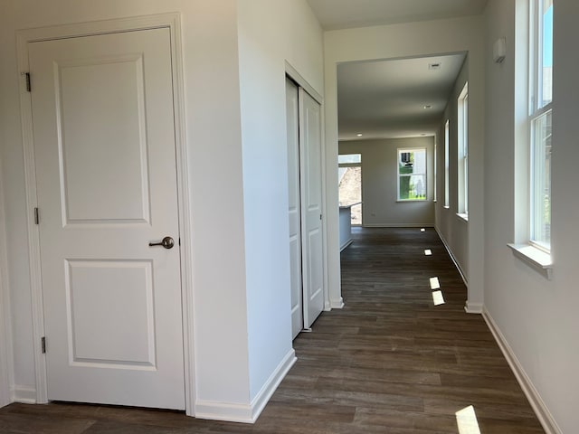 hall featuring dark wood-type flooring