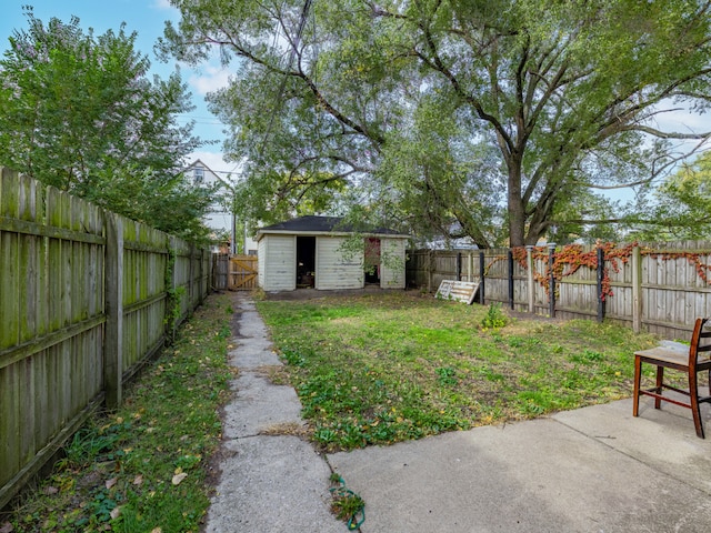 view of yard featuring a storage shed and a patio area