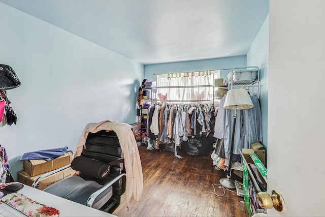 spacious closet featuring dark hardwood / wood-style flooring