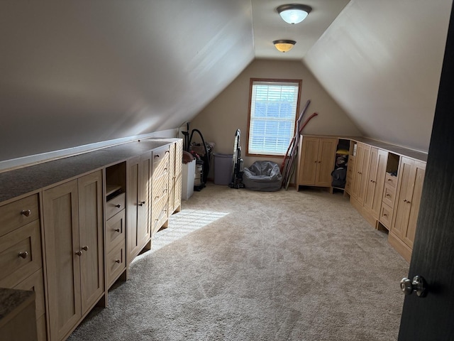 additional living space featuring light carpet and vaulted ceiling