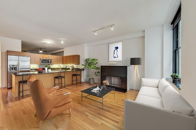 living room with light wood finished floors and a fireplace