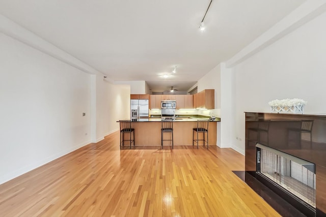 living room featuring light wood-style floors, rail lighting, a fireplace, and baseboards