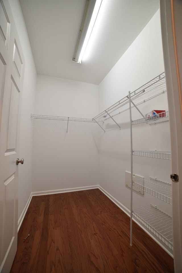 spacious closet with dark wood-type flooring