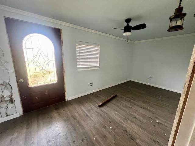 foyer entrance featuring plenty of natural light, ceiling fan, crown molding, and dark hardwood / wood-style flooring