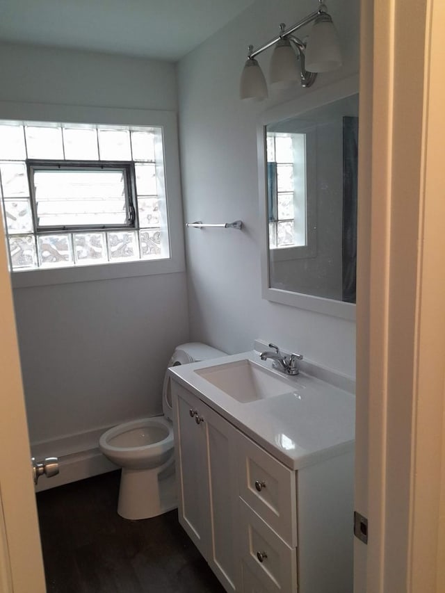 bathroom featuring vanity, a healthy amount of sunlight, and toilet