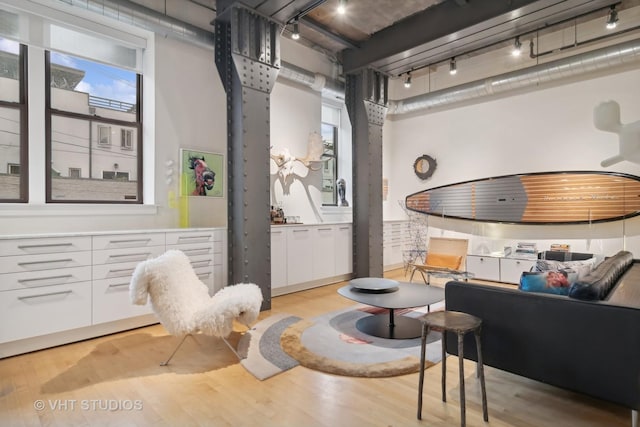 interior space with light hardwood / wood-style flooring and plenty of natural light