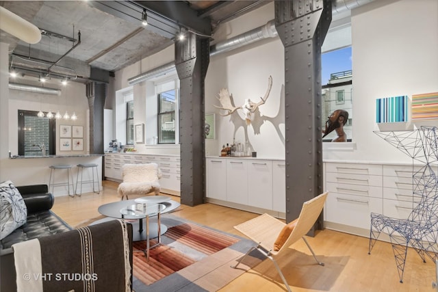 living room with light hardwood / wood-style floors and a healthy amount of sunlight