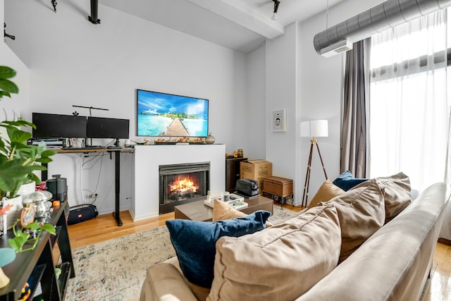 living room featuring light hardwood / wood-style flooring