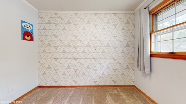 empty room featuring ornamental molding, carpet, and a wealth of natural light