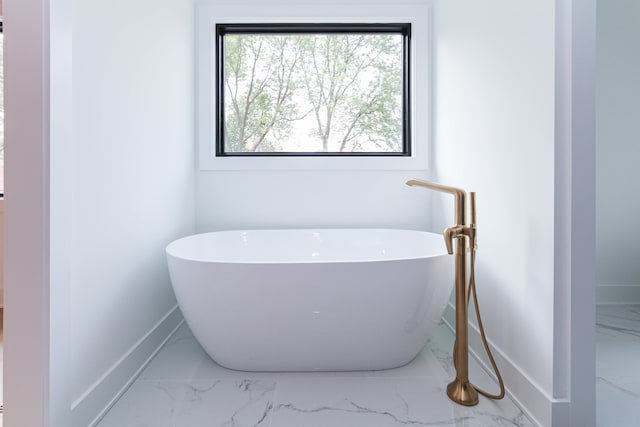 bathroom featuring a washtub