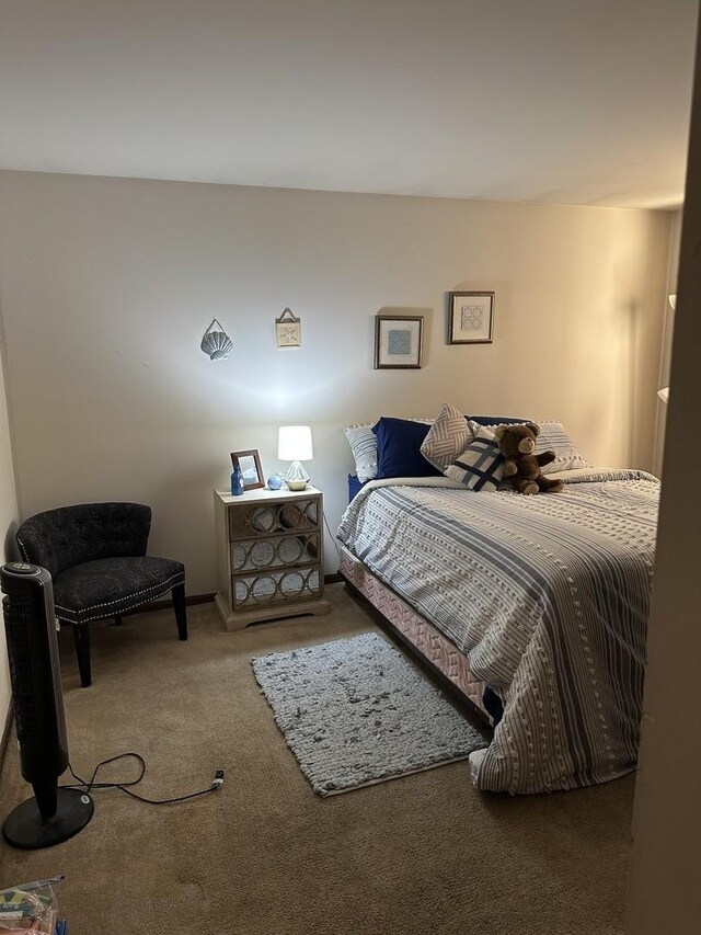 bedroom with carpet flooring