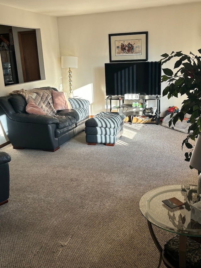 living room with carpet flooring