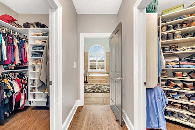 walk in closet featuring wood finished floors