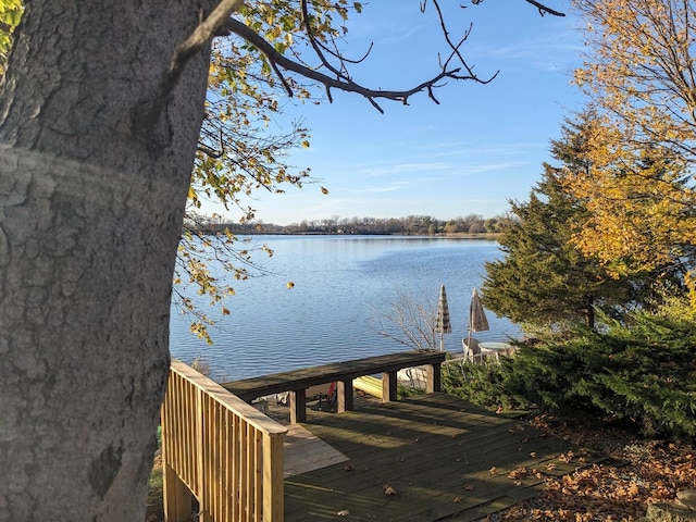 34741 N Lake Shore Dr, Lake Villa, IL 60046 - photo 46