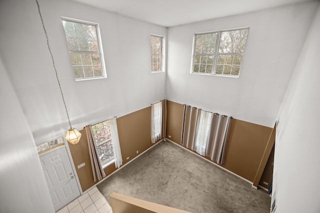 stairway featuring carpet flooring and a wealth of natural light