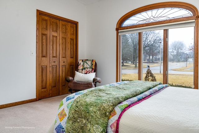 carpeted bedroom featuring access to outside and a closet