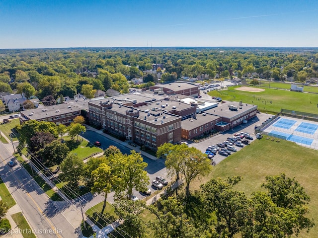 drone / aerial view