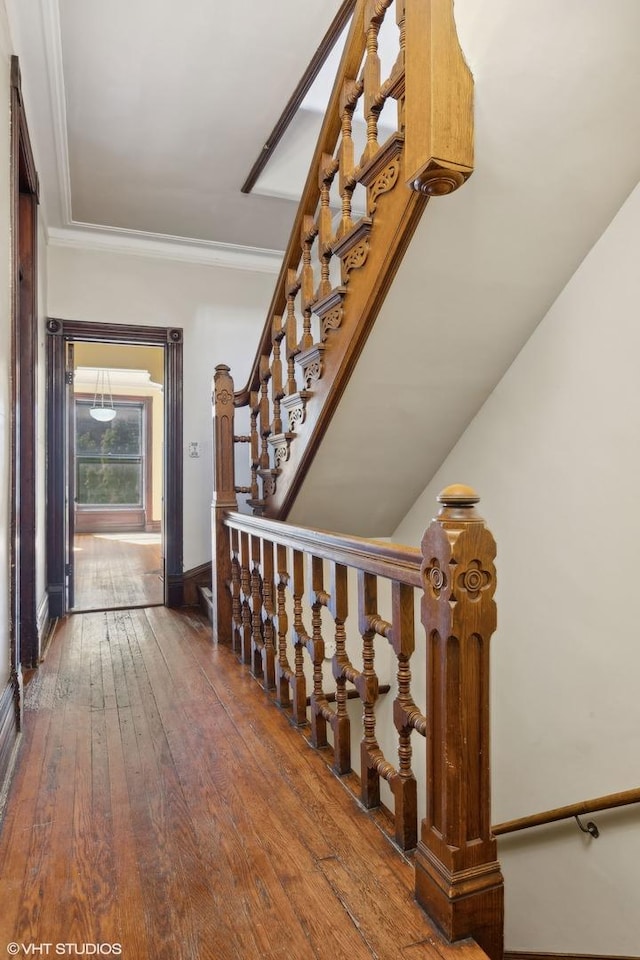 stairs with hardwood / wood-style floors and ornamental molding