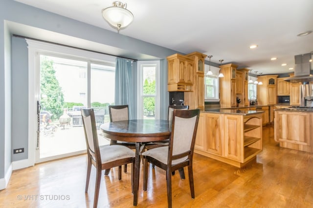 dining room featuring light wood-type flooring and plenty of natural light