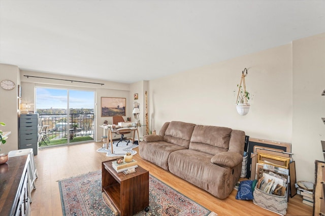 living room featuring light hardwood / wood-style floors