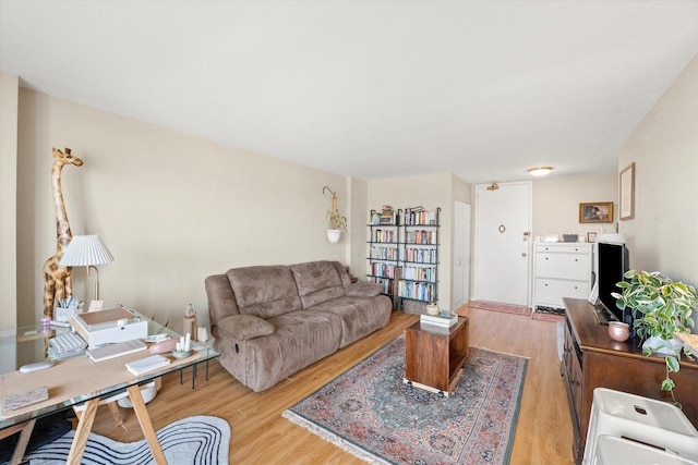 living room featuring light hardwood / wood-style floors