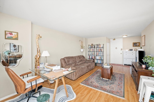 living room with light hardwood / wood-style flooring