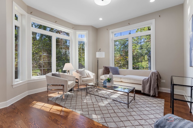 living room featuring a wealth of natural light and wood-type flooring