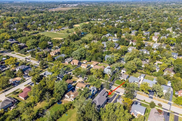 bird's eye view