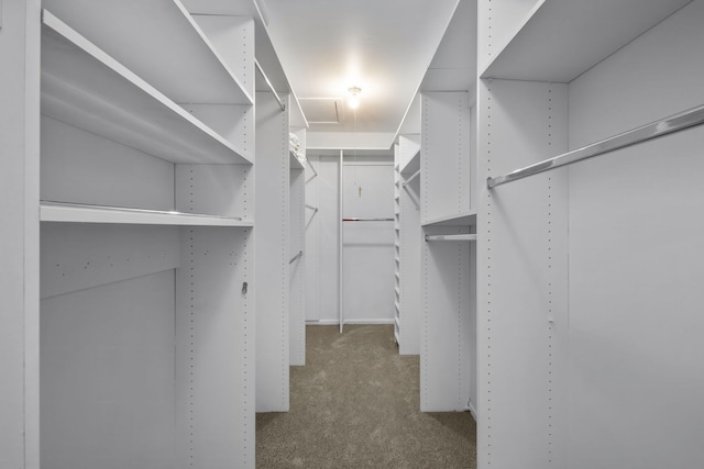 spacious closet with carpet floors