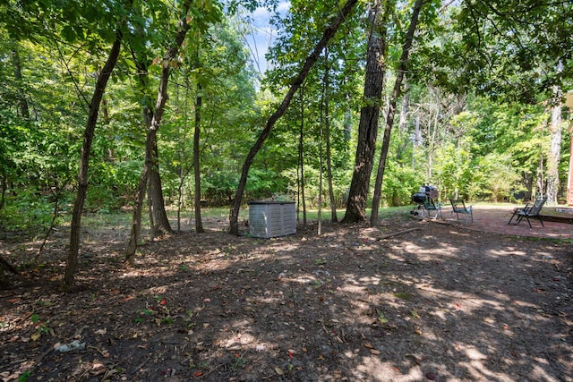 view of yard with a storage unit