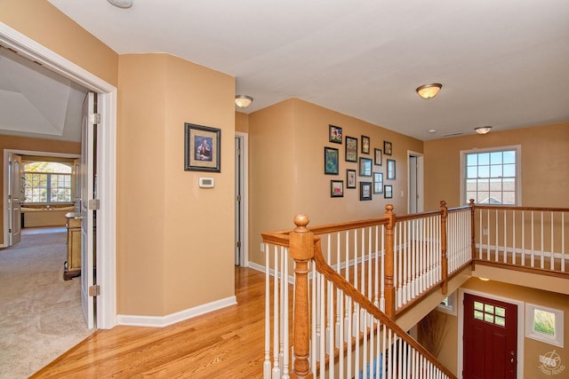 hallway with light hardwood / wood-style floors and a healthy amount of sunlight