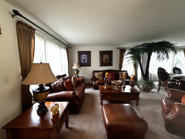 living room with a wealth of natural light and carpet