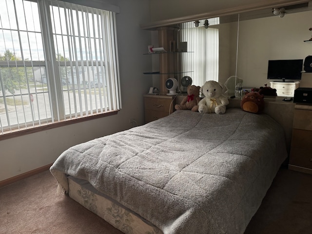 view of carpeted bedroom